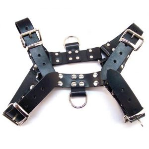 Rouge Over the Head Large Harness